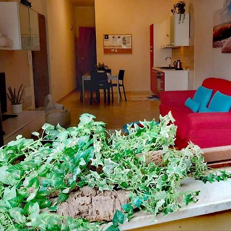 Brisa Marina Apartment アルゲーロ エクステリア 写真