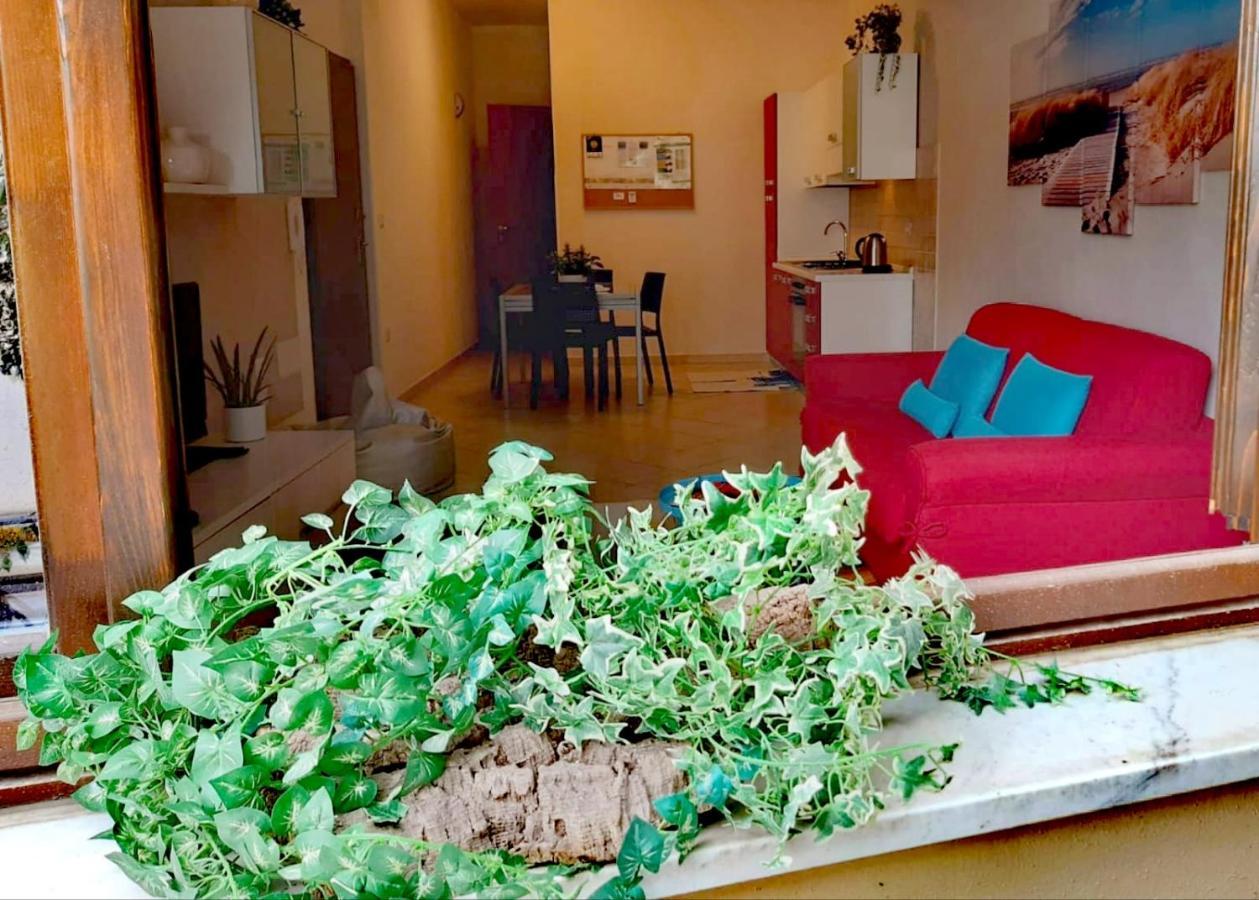 Brisa Marina Apartment アルゲーロ エクステリア 写真